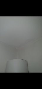 Screenshot_20220315-193904_Gallery.jpg