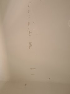 20220316_125624.jpg