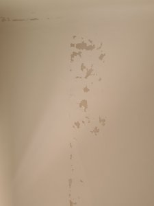 20220316_125620.jpg