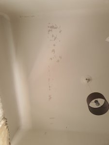 20220316_125615.jpg