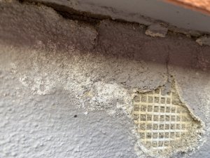 55FC4693-A0C0-4E0D-93F9-F062F2919287.jpeg