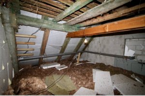 Screenshot_20220315-194302_Samsung Internet.jpg