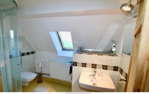 Screenshot_20220318-052643_Samsung Internet.jpg