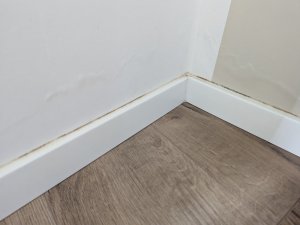 PXL_20211129_100039707.MP.jpg