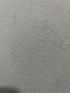98450F71-D0EB-40F7-B6FA-DBA01078415C.jpeg