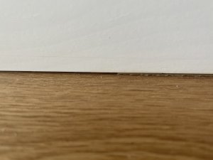 IMG_3553.jpeg