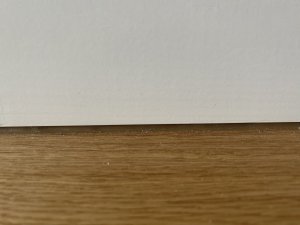 IMG_3555.jpeg