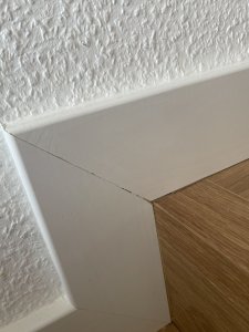 IMG_3558.jpeg