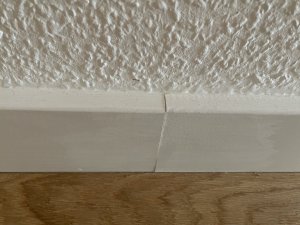 IMG_3564.jpeg