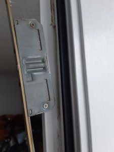 20220406_144756.jpg