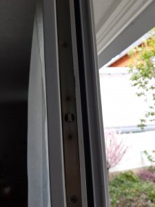 20220406_145054.jpg