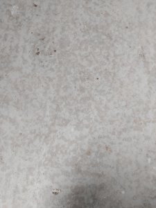 IMG_20220406_170735.jpg