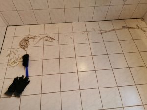 IMG_20220404_183125.jpg