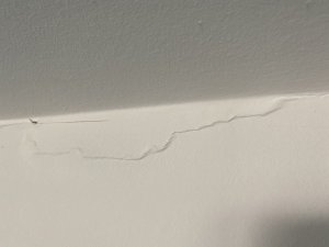 IMG_2283.jpeg