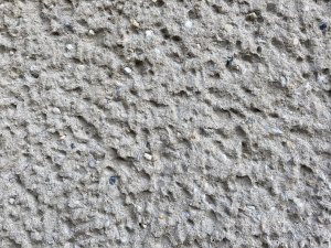 IMG_0515.jpeg