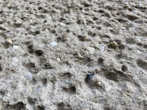 IMG_0516.jpeg