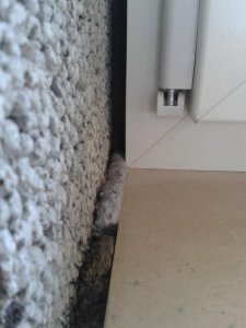 20130716_134548.jpg