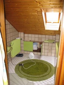 IMG_2971.jpg