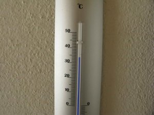 IMG_0806.jpg