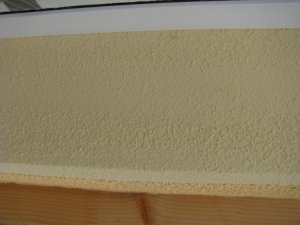 IMG_4934.jpg