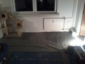 Wohnzimmer.jpg