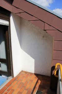 IMG_6799.jpg