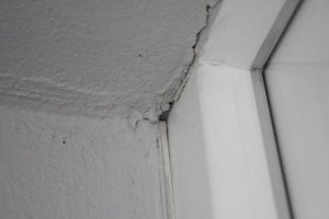 IMG_7799.jpg