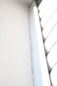 IMG_7807.jpg