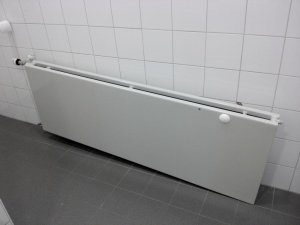 IMG_20130829_193656.jpg
