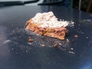 Foto 1.jpg