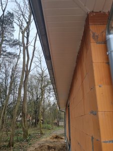 20220415_091534.jpg