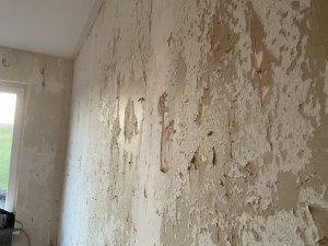 IMG_5126.jpeg