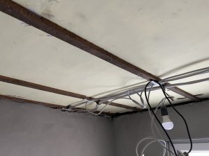 597A164F-0BBB-42BB-ABD3-78FDAA483E2A.jpeg