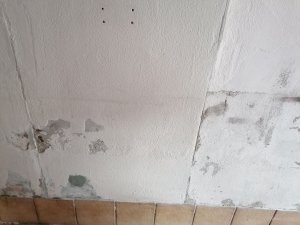 bild2.jpg