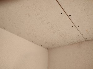 IMG_20220416_110948946.jpg