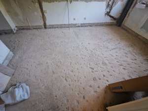 IMG_20220504_175813.jpg