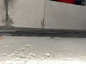 IMG_2101.jpg