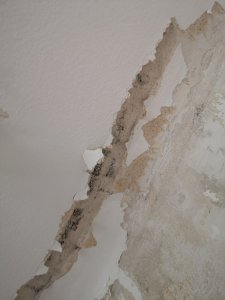 IMG_20220510_200740.jpg