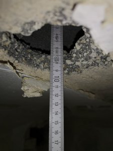IMG_20220511_082426.jpg