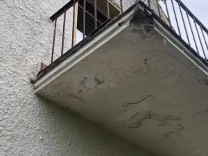 IMG_6969.jpg