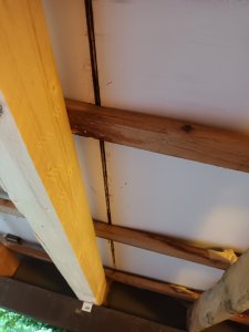 20220516_200930[1].jpg