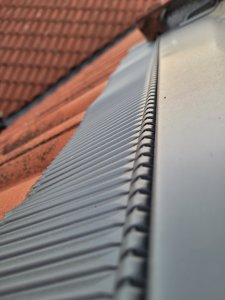 20220517_204209.jpg