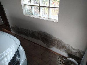 IMG_20220520_171258107.jpg