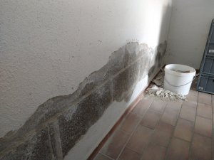 IMG_20220520_171231880.jpg