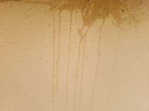 3945FC41-61A5-487C-89F0-926AB8095B2F.jpeg