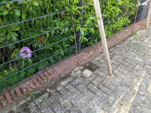 PXL_20220522_193952444 (Groß).jpg