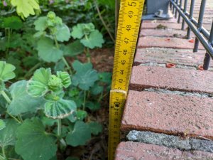 PXL_20220522_194207246 (Groß).jpg