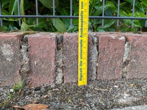 PXL_20220522_194433496 (Groß).jpg