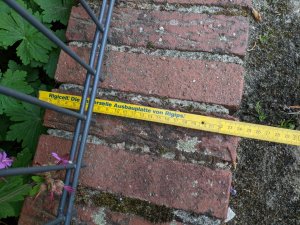 PXL_20220522_194500270 (Groß).jpg