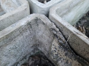 20220522_210147.jpg